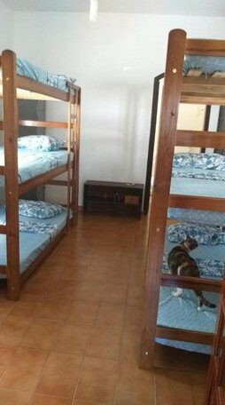 Hostel Zen Anandii - Photo2