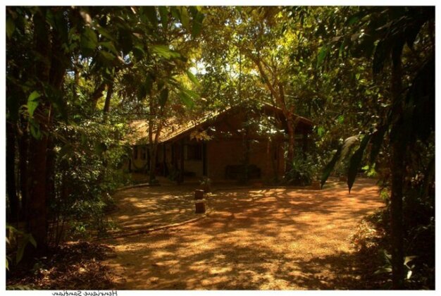 Cantos da Mata - Photo4