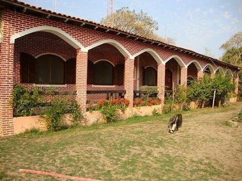 Fazenda 4 Cantos - Photo5
