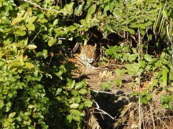 Portal do Pantanal - Photo2