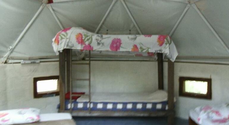 Macacos House - Photo3