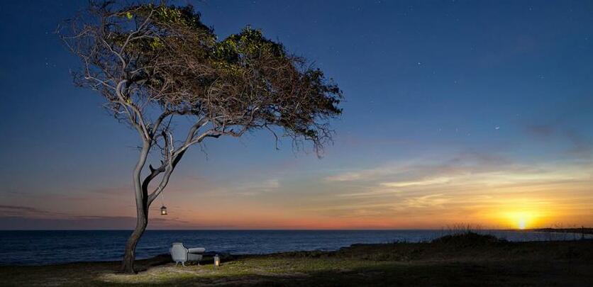 Vila Selvagem Hotel Contemporaneo - Photo5