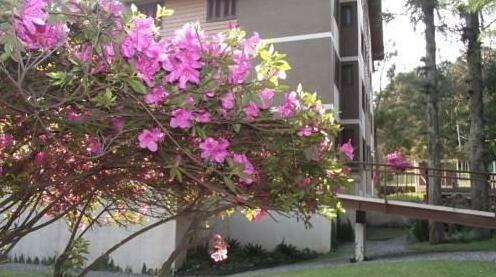 Condado De Rosenfeld