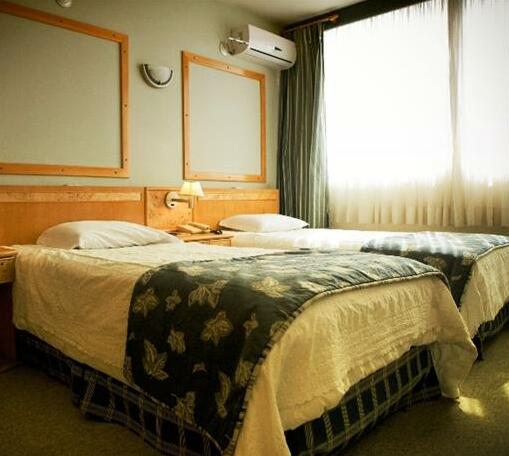 Atalaia Palace Hotel - Photo5