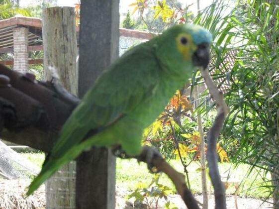 Espaco Benviver - Photo4