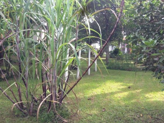 Casa Varandao Da Dona Arina - Photo3