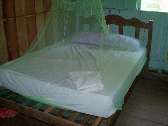 Manaus Jungle Hostel - Photo3