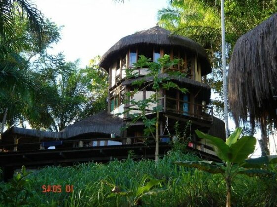 Eco Rainforest House