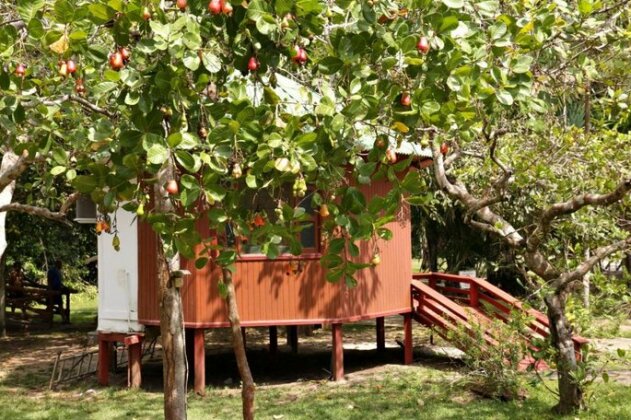 Cirandeira Bela Amazon Cabins - Photo2