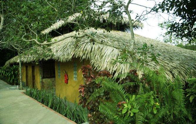 Amazon Ecopark Jungle Lodge - Photo4