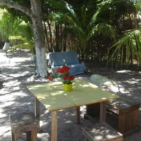 Camping pe de coco - Photo3