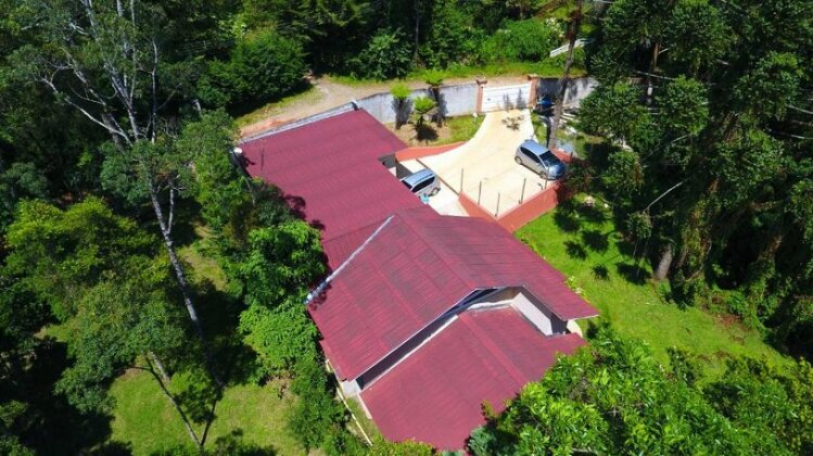 Villa Bergamin - Photo4