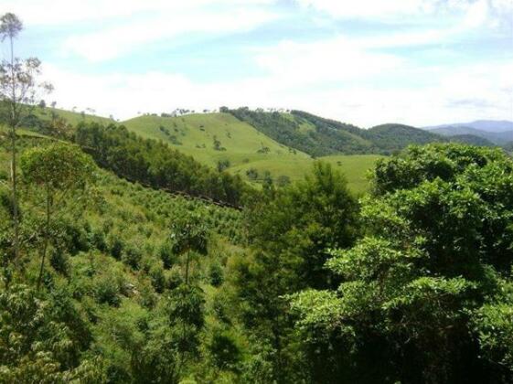 Sitio Quatro Primos - Photo5