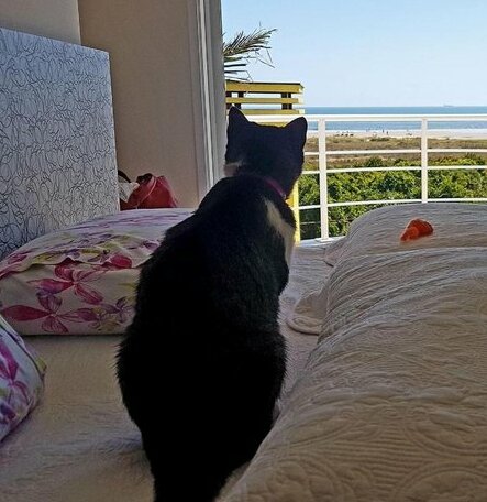Villa Triplex Beira-Mar - Photo5