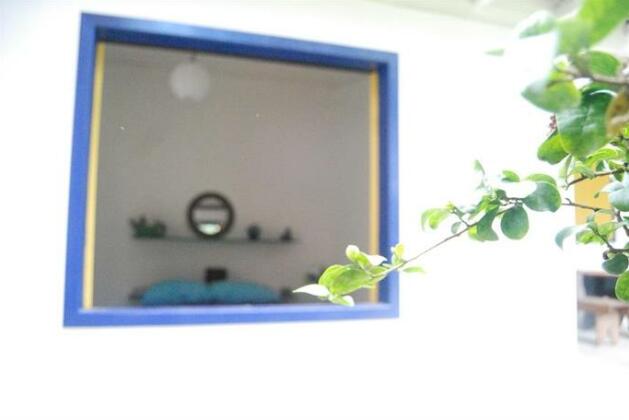 Ciranda de Flores - Photo2