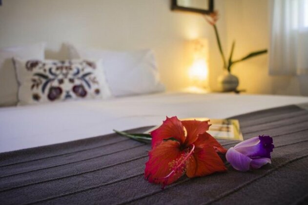 Planeta Banana B&B - Photo5