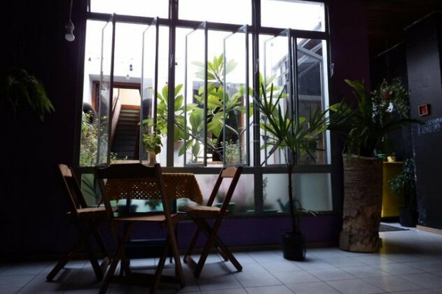Hostel Casa Cultural Las Vulvas - Photo2