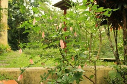 Hostel Natureza & Arte