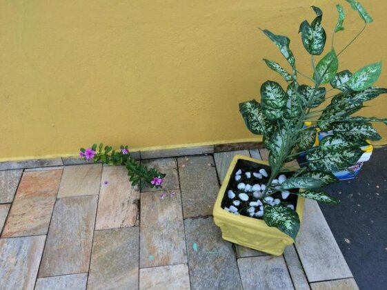 Sabores da Vida - Photo3