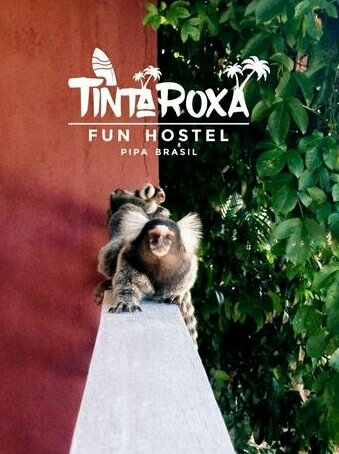 Tinta Roxa Fun Hostel