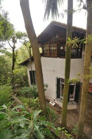 Regenwald B&B - Photo3