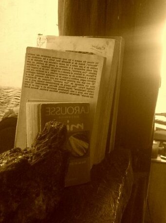 Toninho House - Photo4