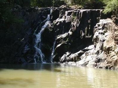Hotel Fazenda Pinus Parque - Photo3
