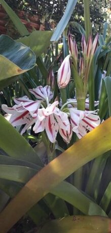 Pousada Sarala - Photo5