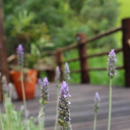 Rancho Country - Photo5