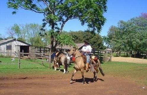 Hospedagem do Sitio Preserva - Photo5