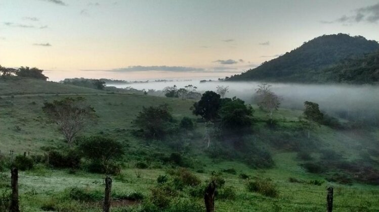 Fazenda Ecologica na Floresta da Serra da Copioba - Photo4