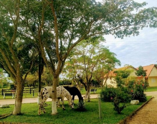 Pousada Cabanas do Sul - Photo2