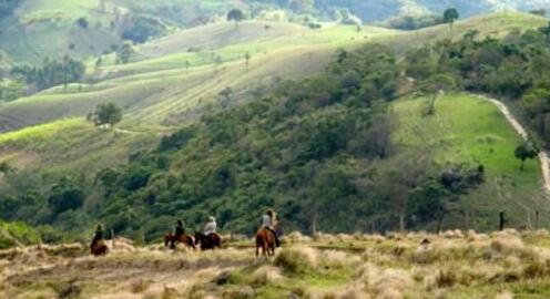 Fazenda Catuafassaba - Photo3