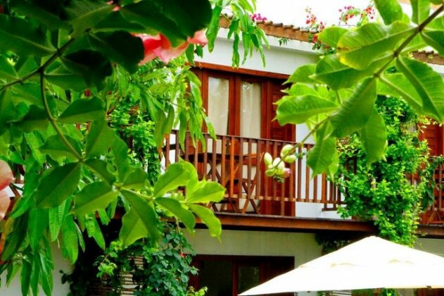 Villa Albergaria - Photo2