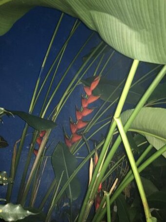 Cantos e Recantos - Photo3