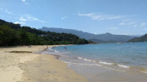 Rain Forest Paradise Ubatuba