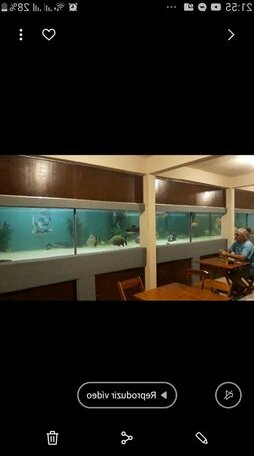 Recanto Villas Boas - Photo3