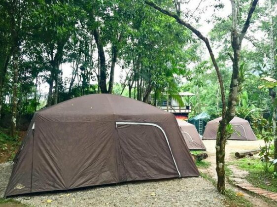 Sitio Simple Life - Photo4