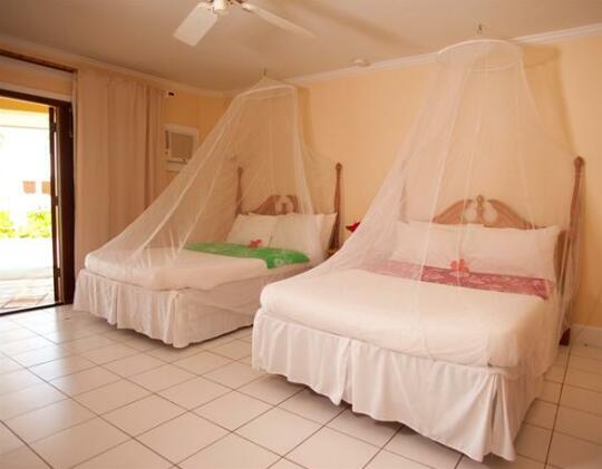 Emerald Palms Resort Hotel South Andros - Photo3