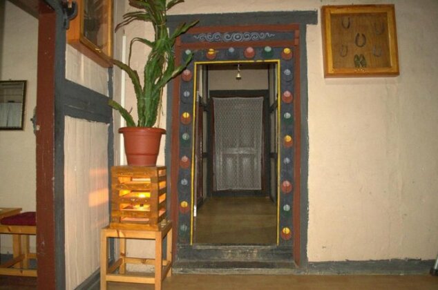 Ama's Village Lodge - Photo3