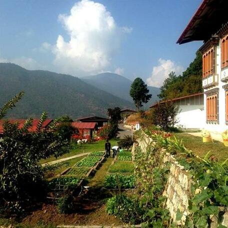 Drubchu Resort - Photo5