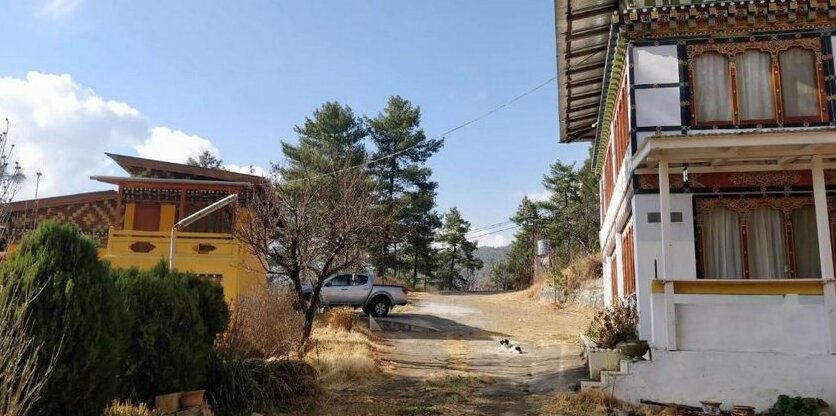 Dzi Pema