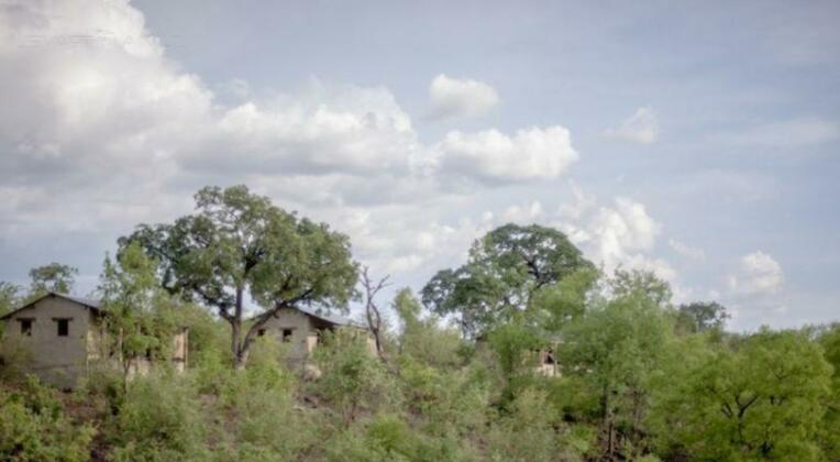 Chobe Elephant Camp - Photo3