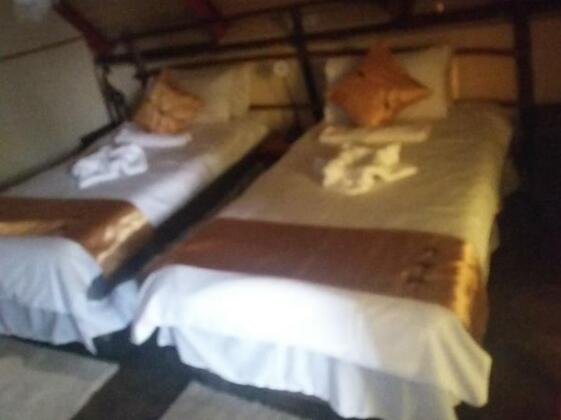 Elephant Trail Guesthouse and Backpackers - Photo3