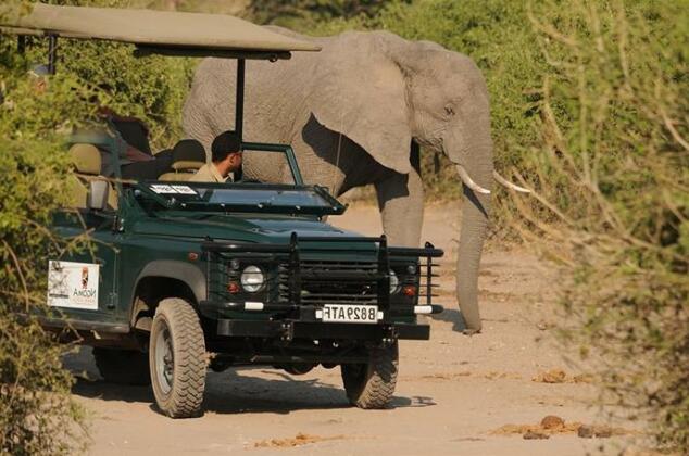 Ngoma Safari Lodge