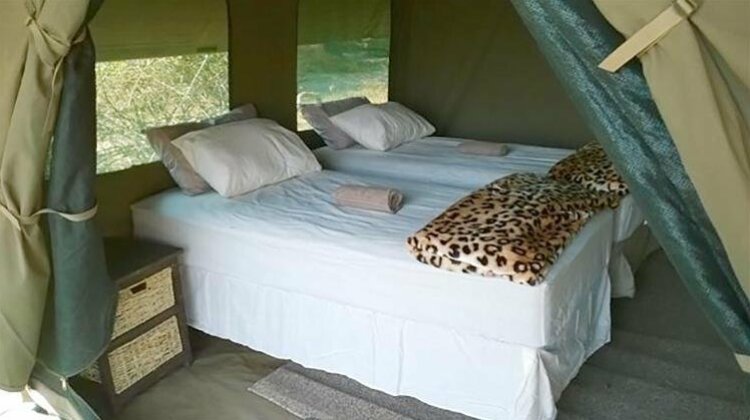 Gcadikwe Island Camp - Photo3