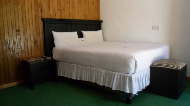 Luxury Wild Inn - Photo3