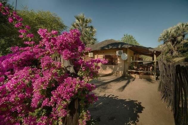 Motsebe Backpackers - Photo5