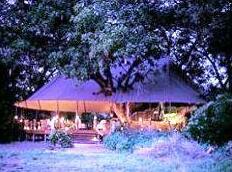 Stanley's Camp T - Photo2