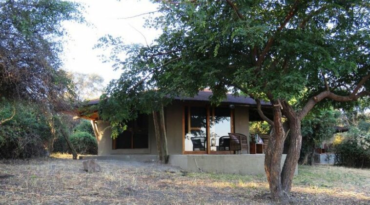 Jumbo Junction Camp - Photo2